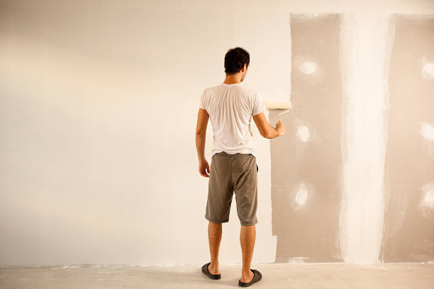 Best Eco-Friendly and Low-VOC Painting  in Spring Valley, IL