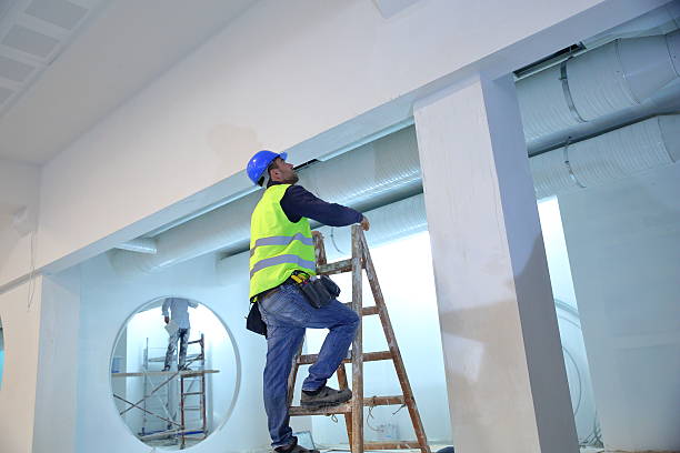 Best Touch-Up Painting  in Spring Valley, IL