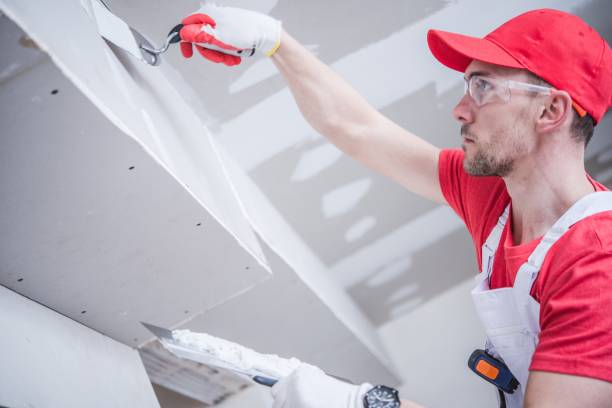 Best Interior Painting  in Spring Valley, IL